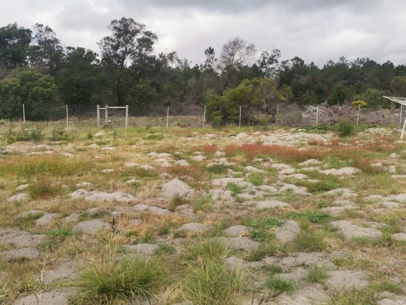 0 Bedroom Property for Sale in Riversdale Western Cape